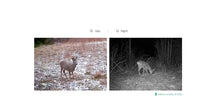 Load image into Gallery viewer, Hikmicro M15 4G Game Trail Camera
